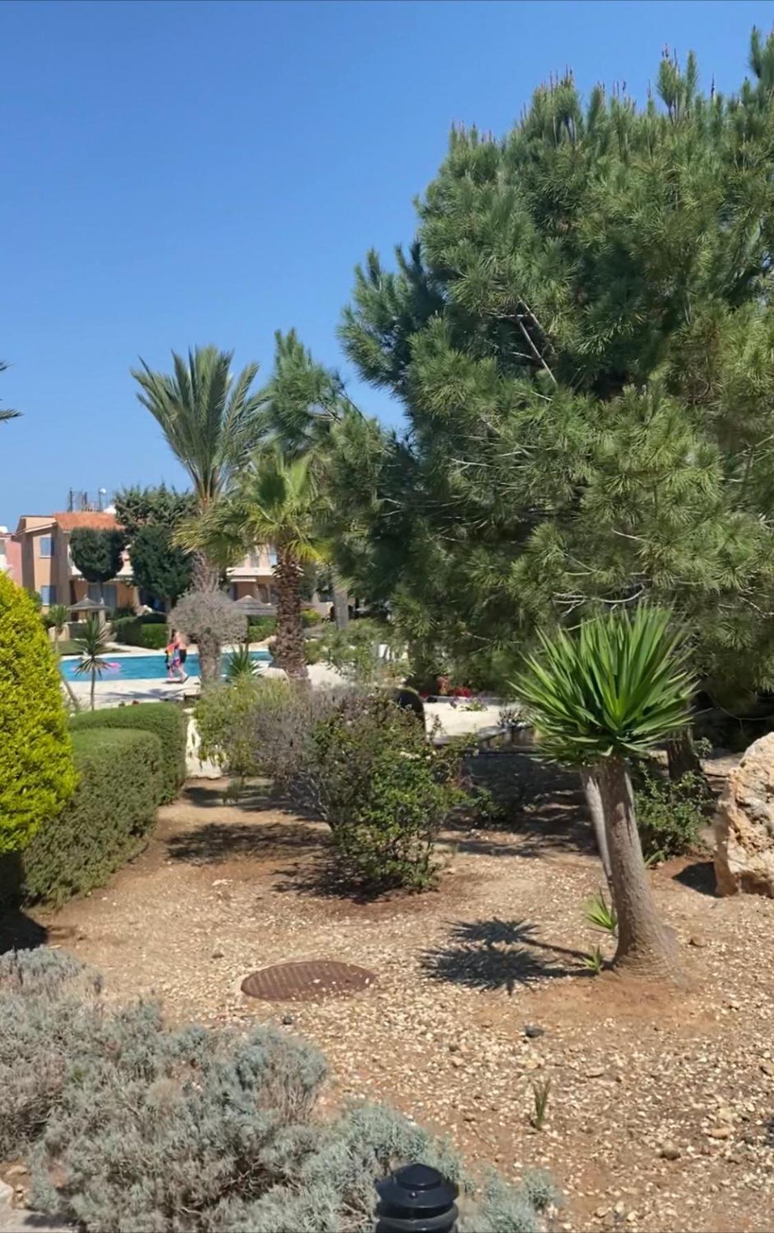 Newly Renovated- Regina Gardens 1, Venus Beach 500 M, Sea&Sunsets View, License Ooo7141 Paphos Exterior foto