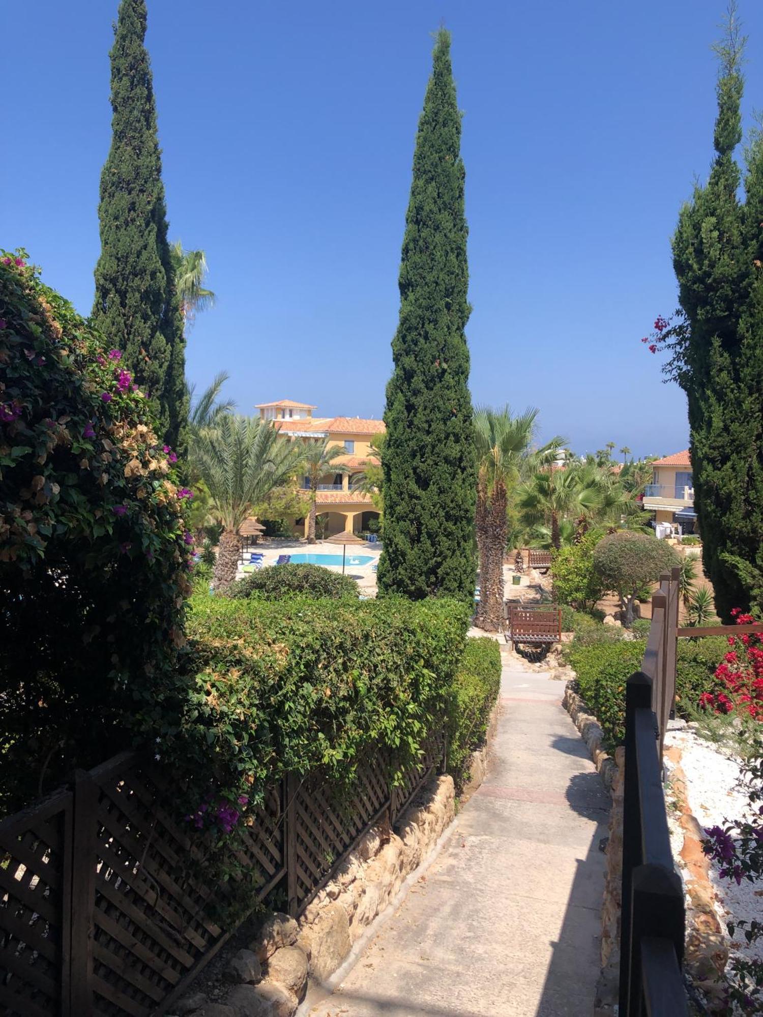 Newly Renovated- Regina Gardens 1, Venus Beach 500 M, Sea&Sunsets View, License Ooo7141 Paphos Exterior foto